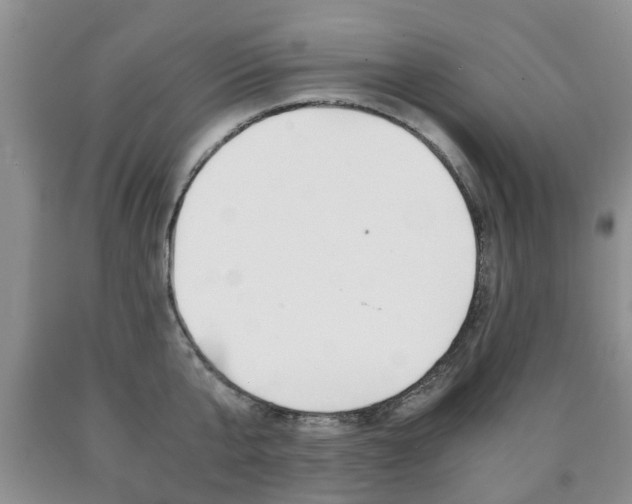 X0000090760807200707201052