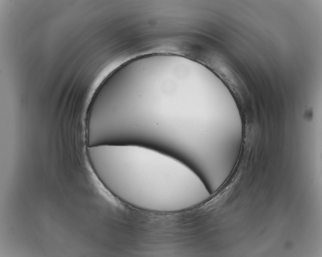X0000090760808200707201052