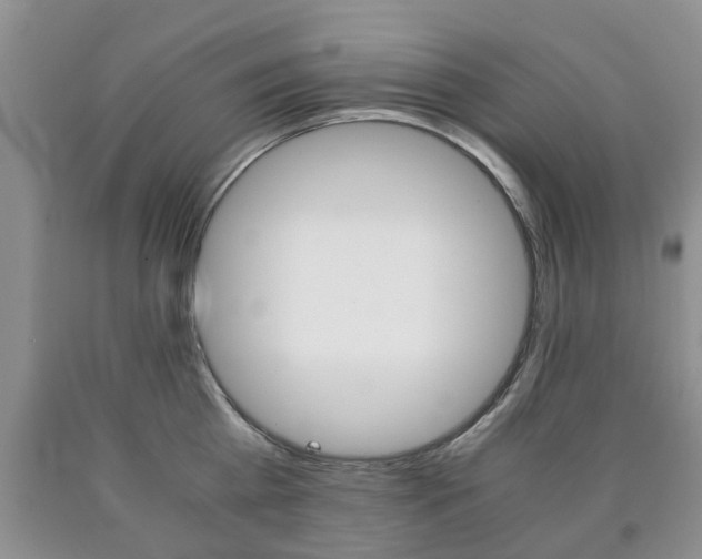 X0000090760809200707201052