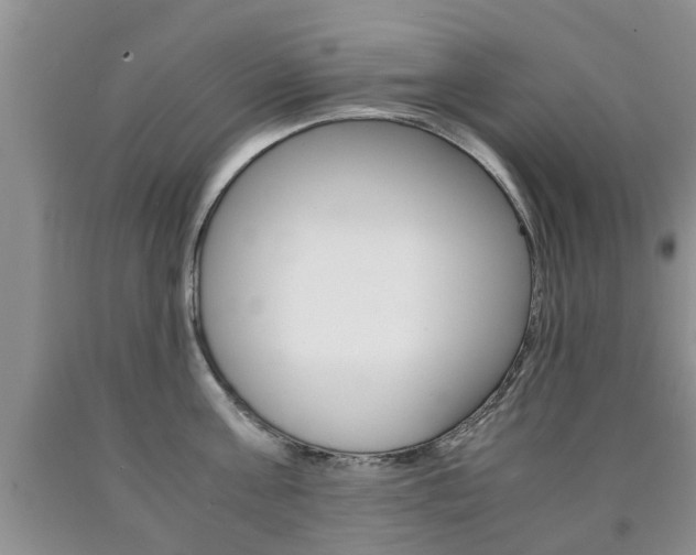 X0000090760811200707201052