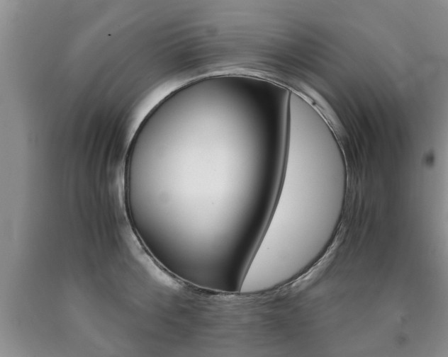 X0000090760812200707201052