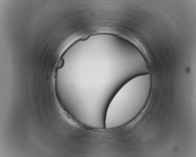 X0000090760814200707201052