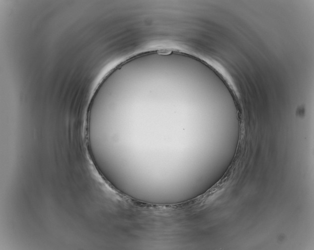 X0000090760815200707201052