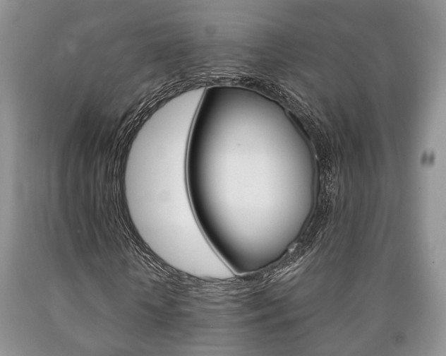 X0000090760818200707201051