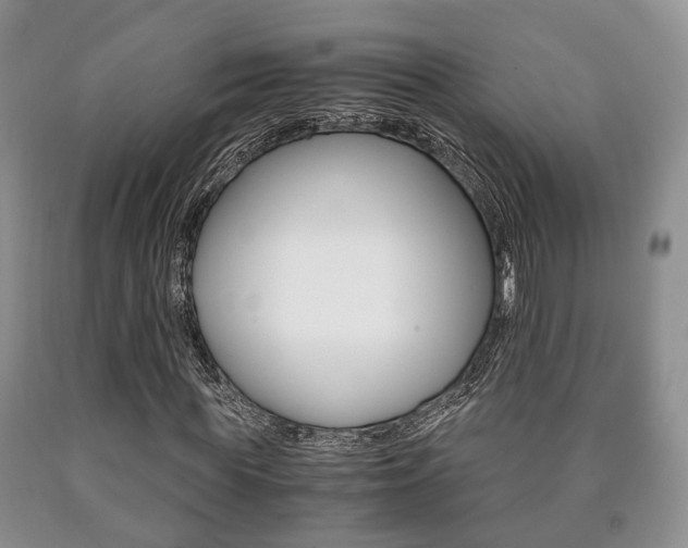 X0000090760819200707201051