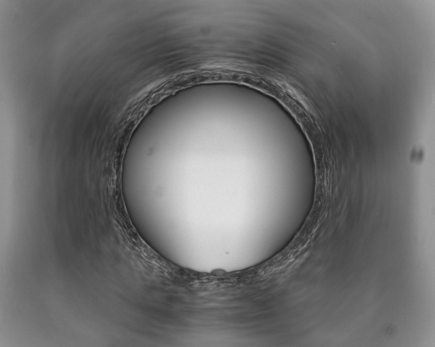X0000090760821200707201051
