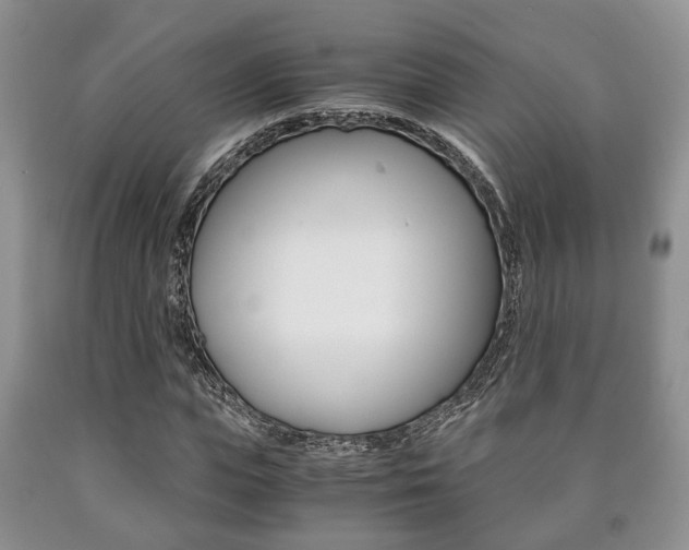 X0000090760823200707201051