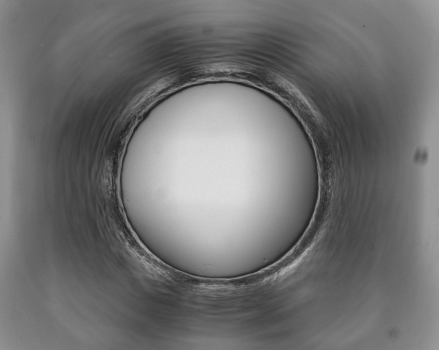X0000090760825200707201051