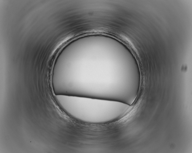 X0000090760827200707201051