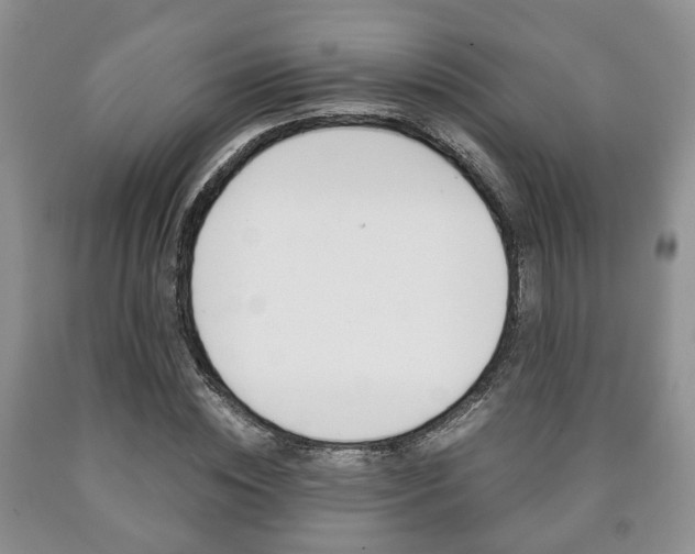 X0000090760828200707201051