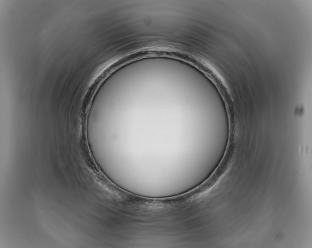 X0000090760829200707201051