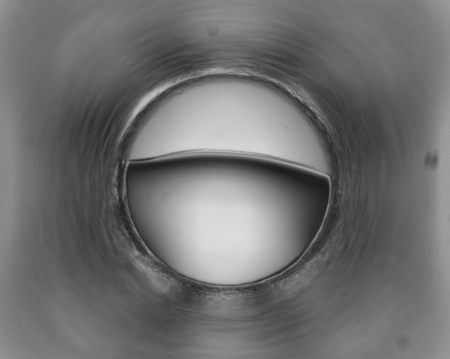 X0000090760830200707201051