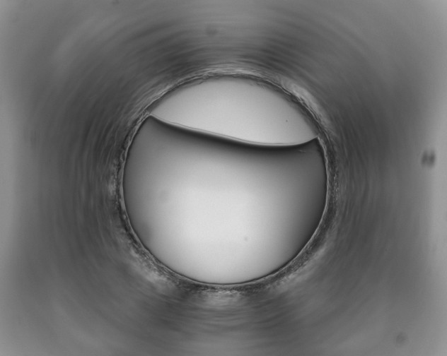 X0000090760833200707201052