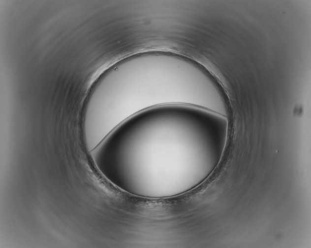 X0000090760834200707201052