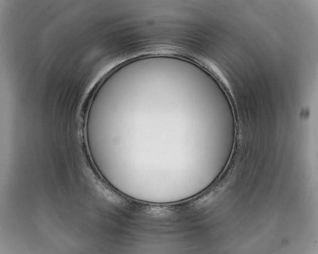 X0000090760835200707201052