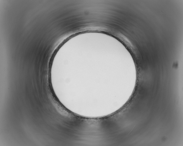 X0000090760836200707201052