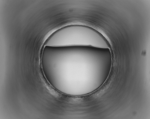 X0000090760837200707201052