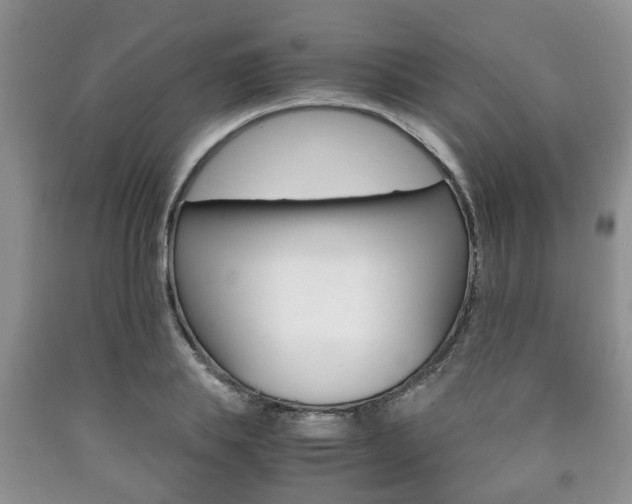 X0000090760839200707201052