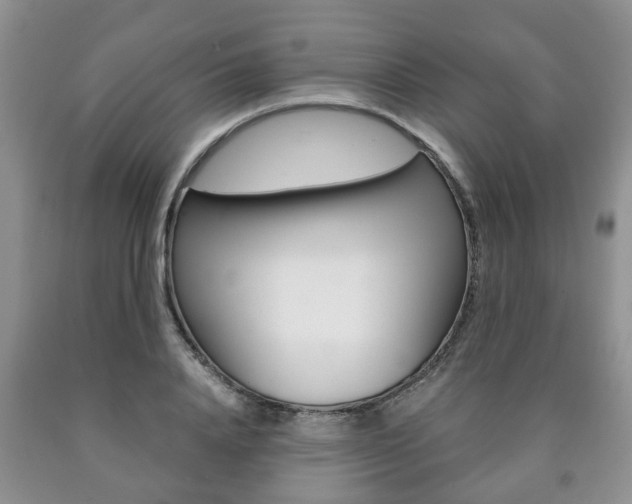 X0000090760840200707201052