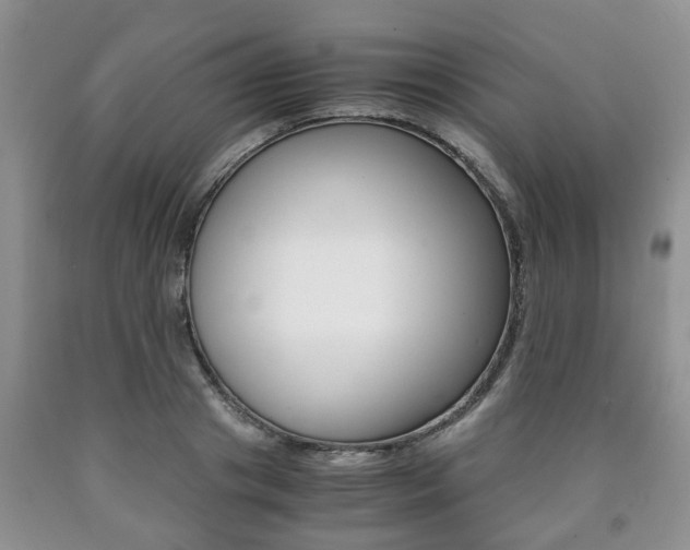 X0000090760841200707201052