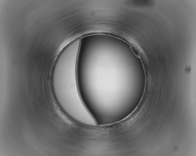 X0000090760842200707201052