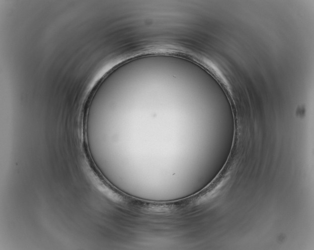 X0000090760843200707201052
