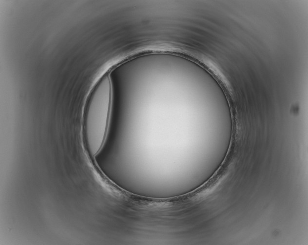 X0000090760845200707201052