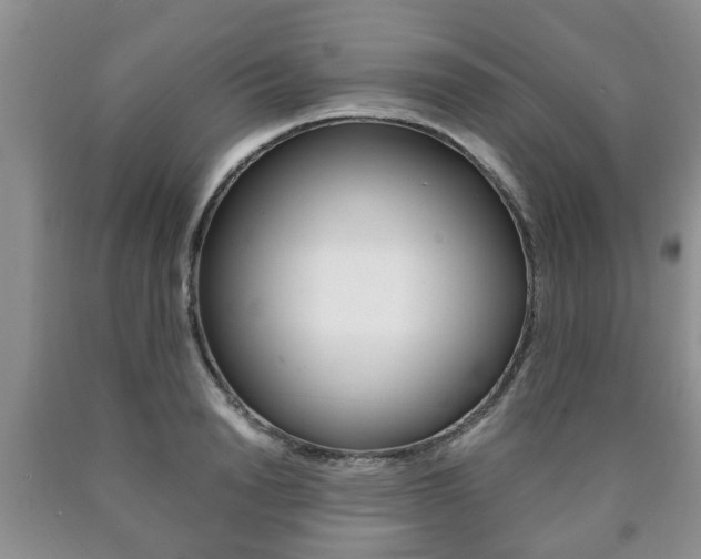 X0000090760846200707201052