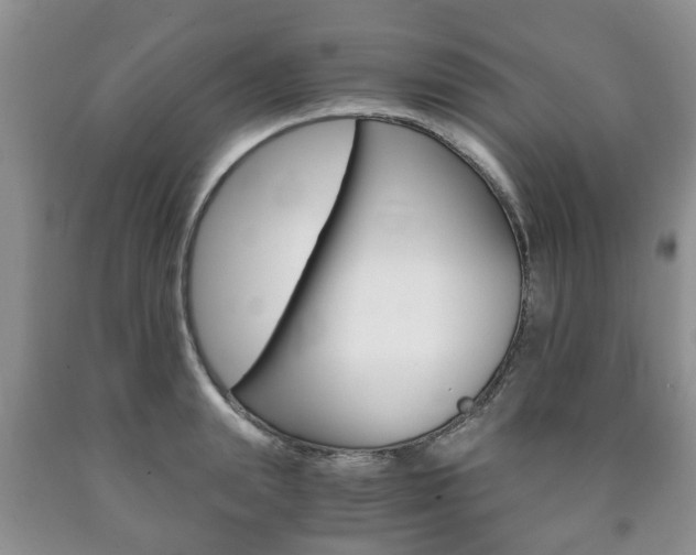 X0000090760847200707201052