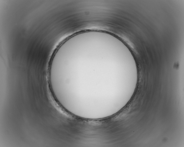X0000090760848200707201052