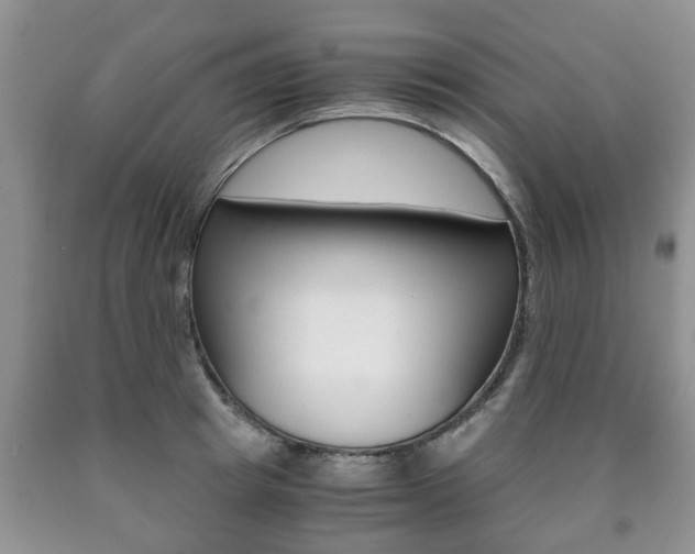 X0000090760849200707201052