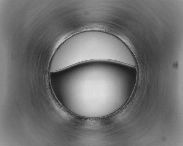 X0000090760850200707201052