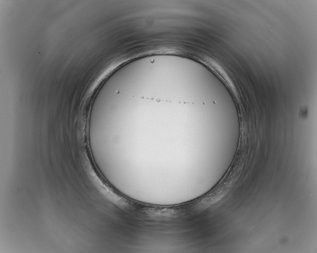 X0000090760851200707201052