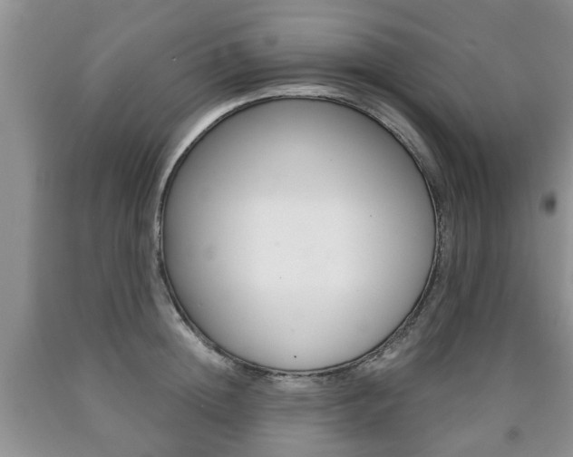 X0000090760852200707201052
