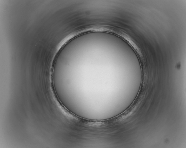 X0000090760853200707201052