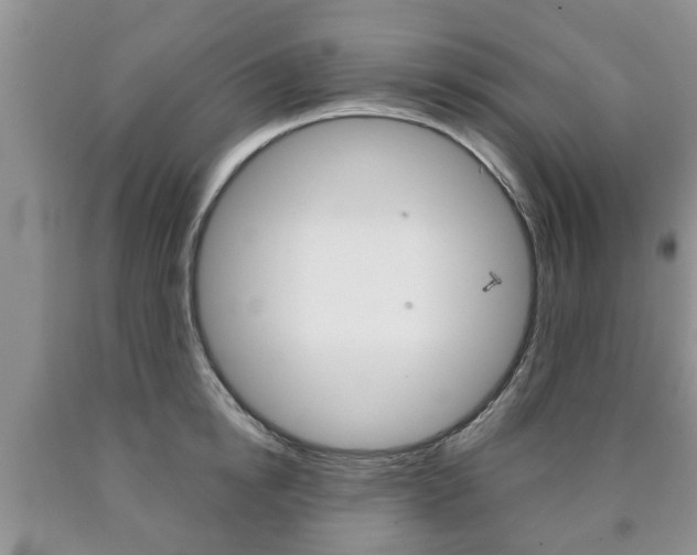 X0000090760854200707201052