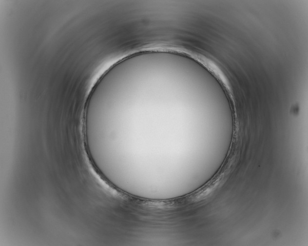 X0000090760855200707201052