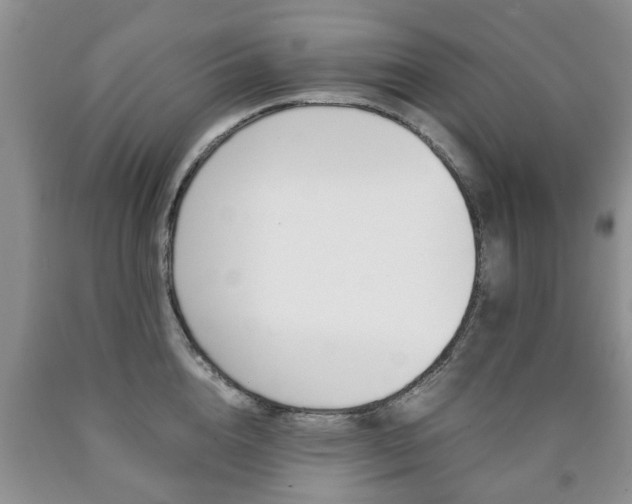X0000090760856200707201052