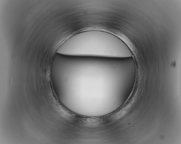 X0000090760857200707201052