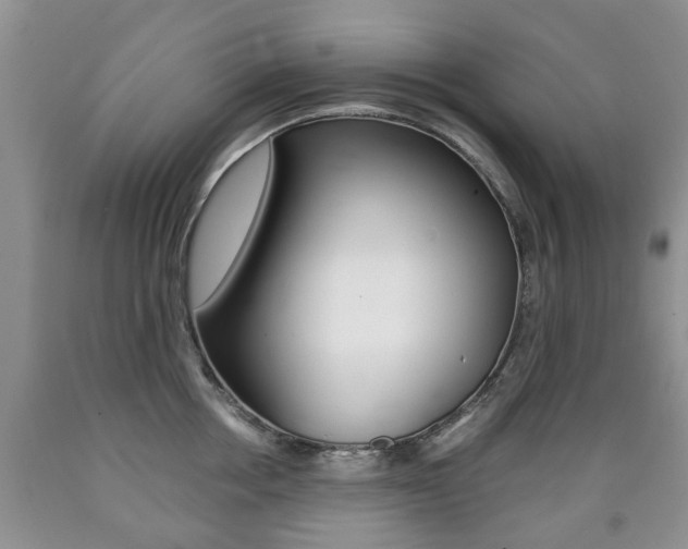 X0000090760858200707201052