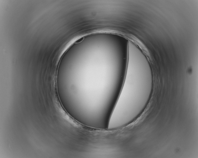 X0000090760860200707201052