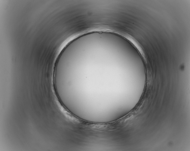 X0000090760861200707201052