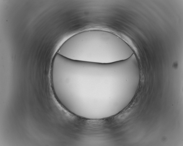 X0000090760863200707201052