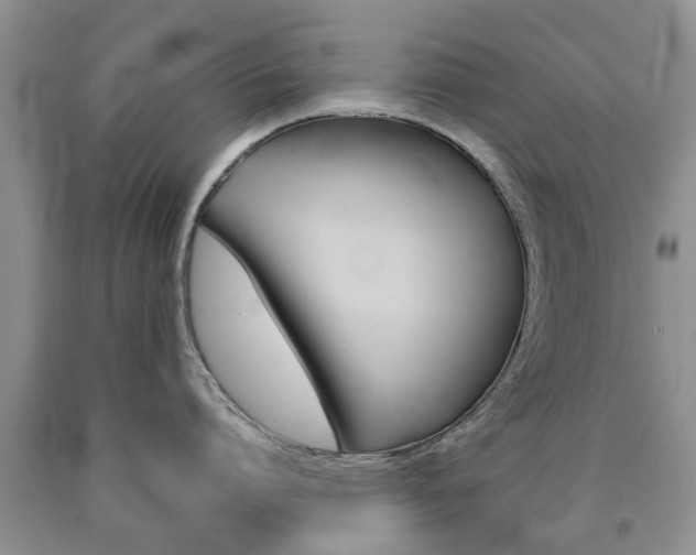 X0000090760864200707201052