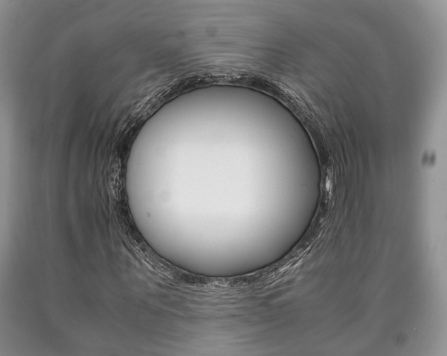 X0000090760867200707201051