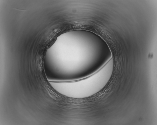 X0000090760868200707201051
