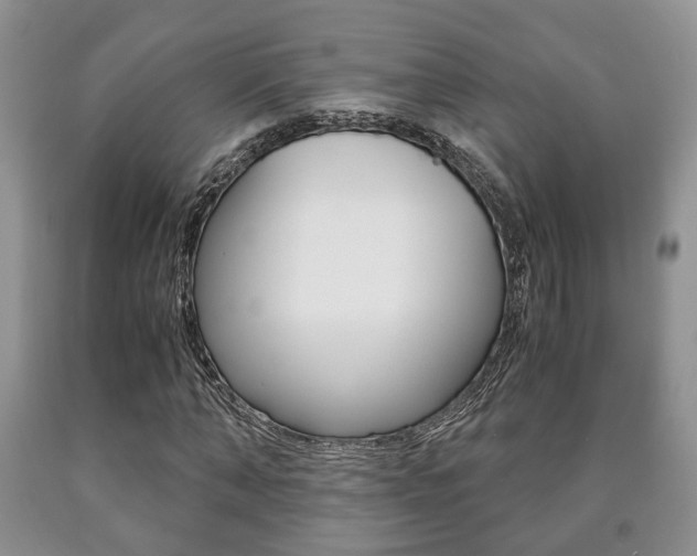 X0000090760870200707201051