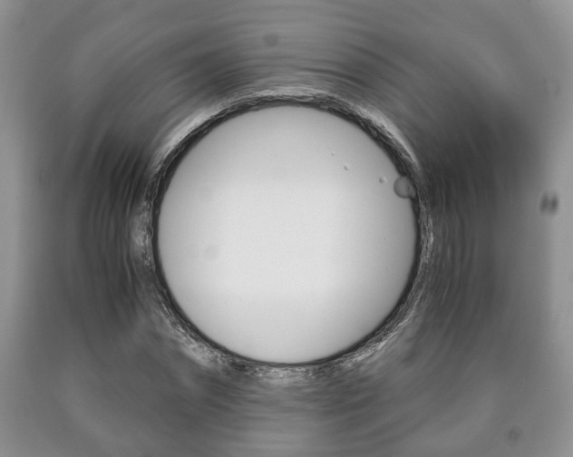 X0000090760874200707201051