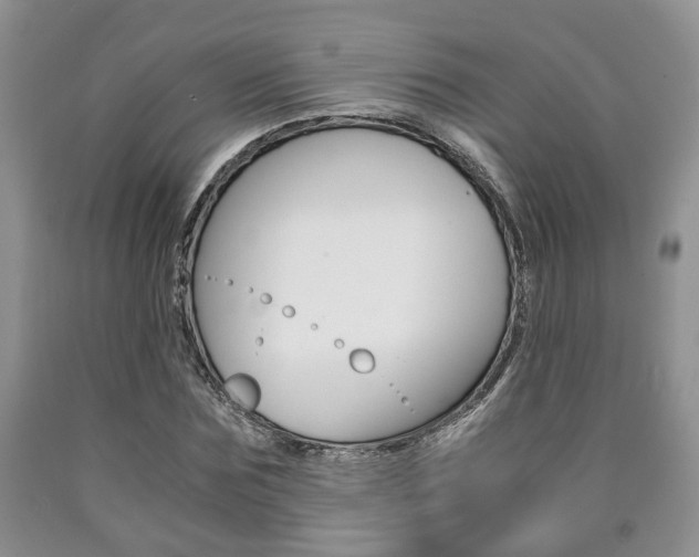 X0000090760875200707201051