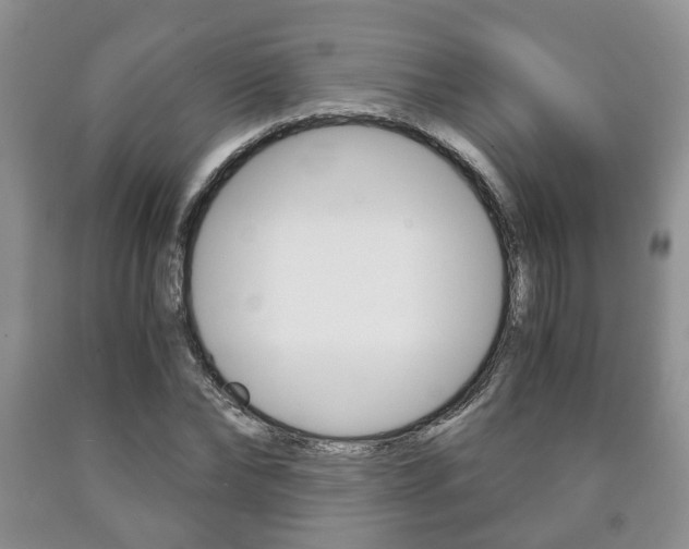 X0000090760878200707201051